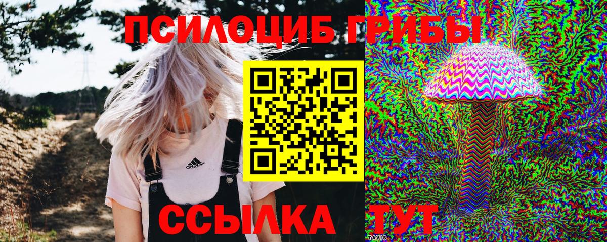Галлюциногенные грибы прущие грибы  Галлюциногенные грибы мухоморы  Вход с VPN  Дагестанские Огни 